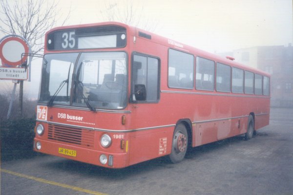 DSB busser nr. 1981. Photo Tommy Rolf Nielsen Martens